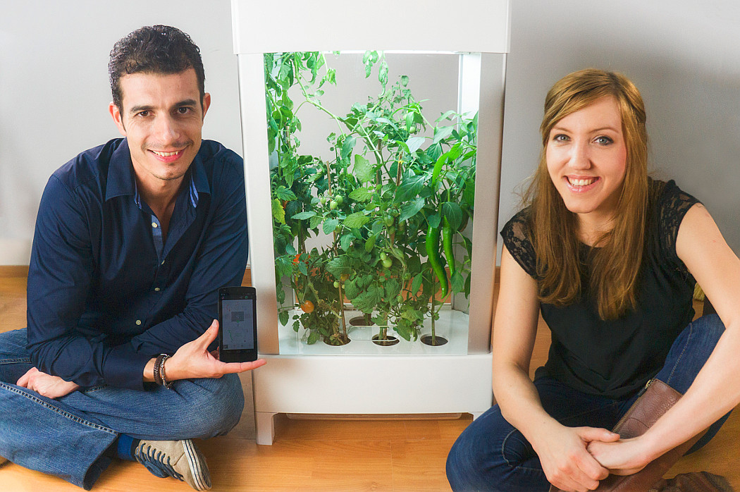 Niwa: контролируйте рост растений с помощью смартфона